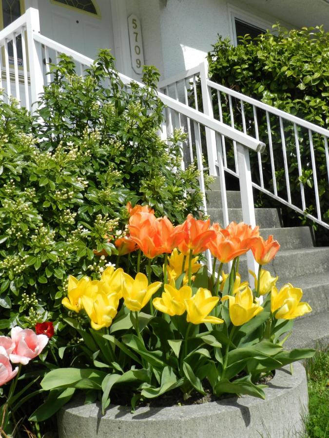 Serenity Bed & Breakfast Burnaby Exterior photo