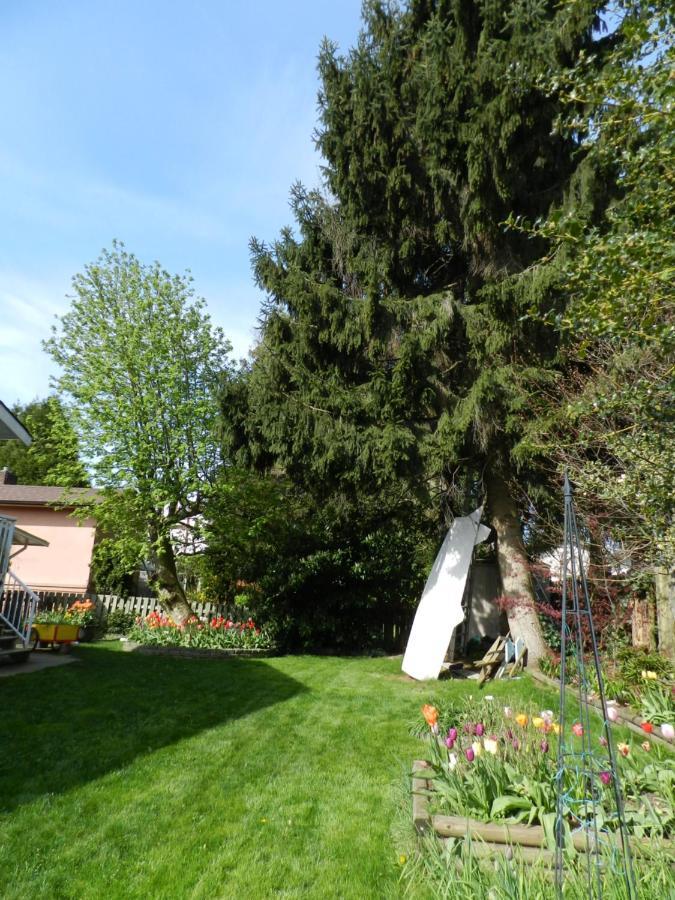 Serenity Bed & Breakfast Burnaby Exterior photo