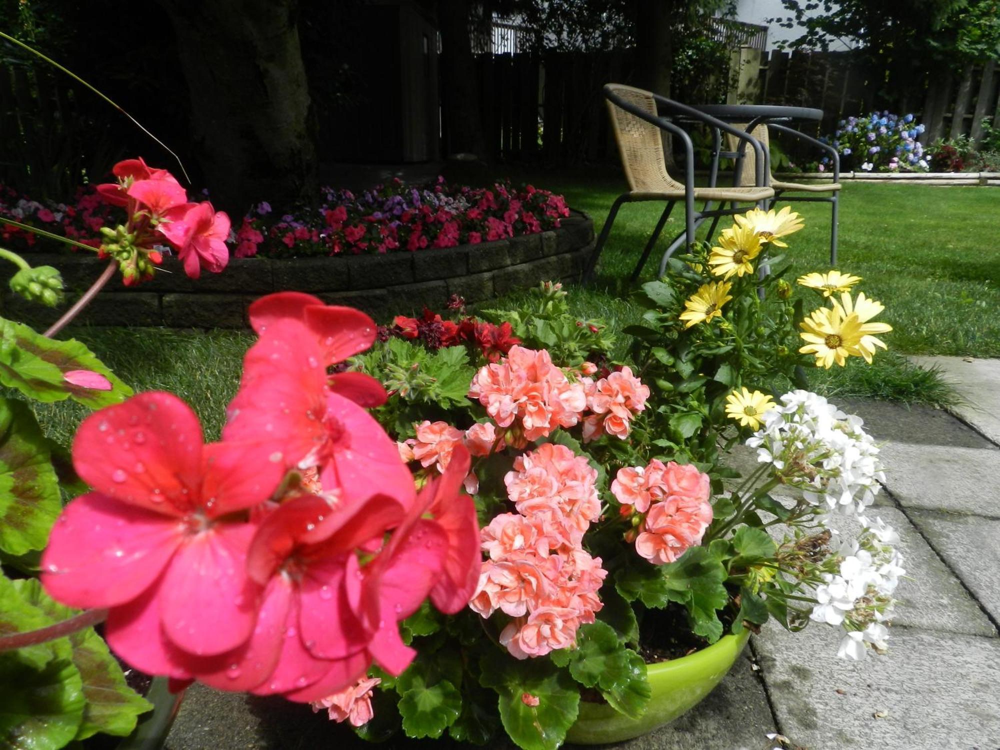 Serenity Bed & Breakfast Burnaby Exterior photo