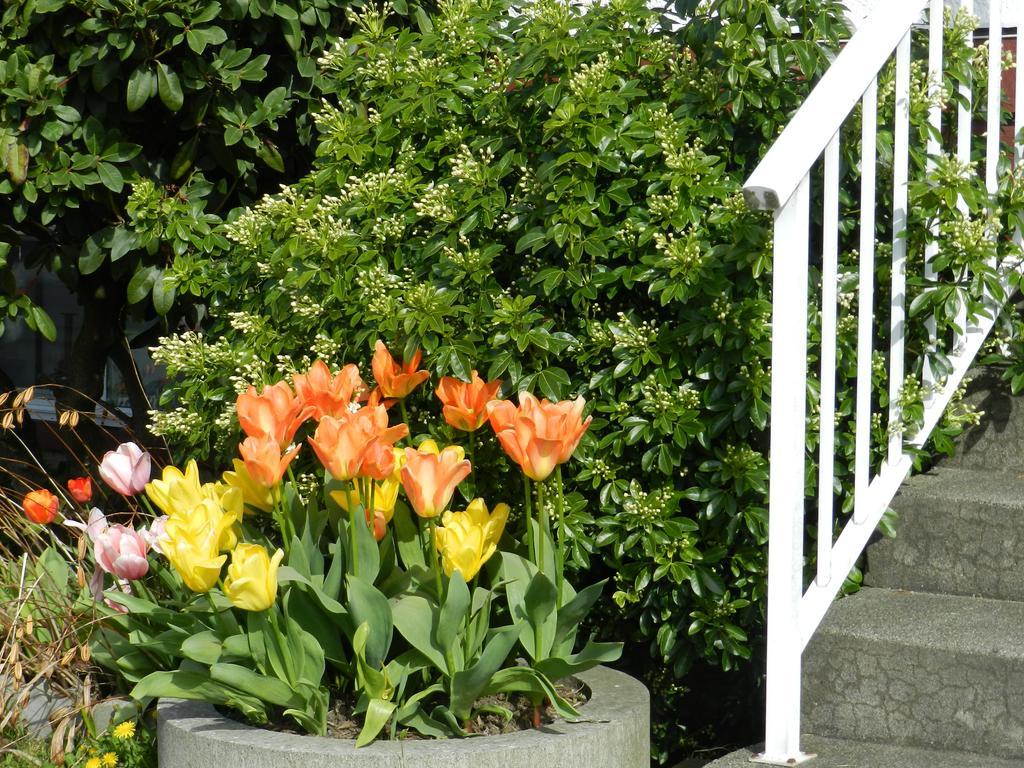Serenity Bed & Breakfast Burnaby Exterior photo