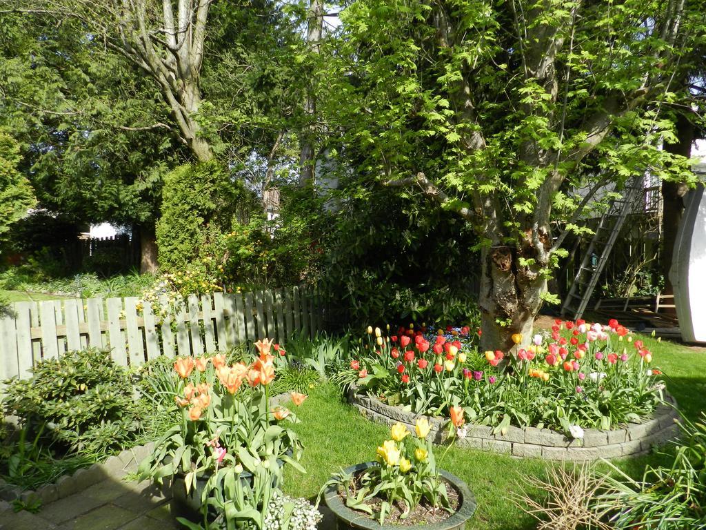Serenity Bed & Breakfast Burnaby Exterior photo